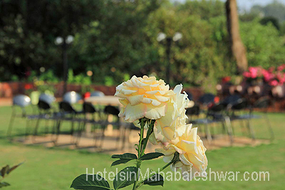 mahabaleshwar Garden Cottage Garden Icecream