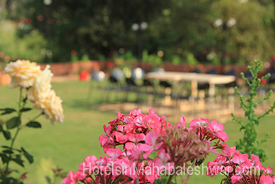 mahabaleshwar Garden Cottage Garden Icecream