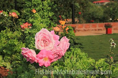 mahabaleshwar Garden Cottage Garden Icecream