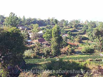 GARDEN VIEW COTTAGE mahabaleshwar