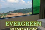 evergreen bungalow