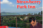 strawberry parkinn