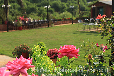 mahabaleshwar Garden Cottage Garden Icecream